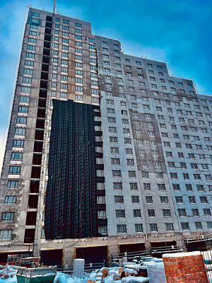 КУРКИНО15