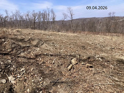 Твоя Привилегия