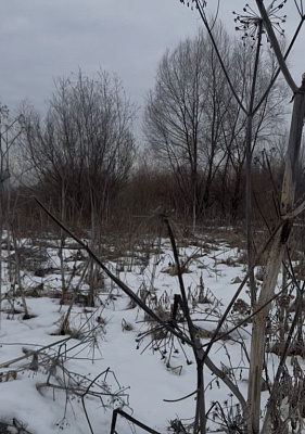 село С Новолуговое