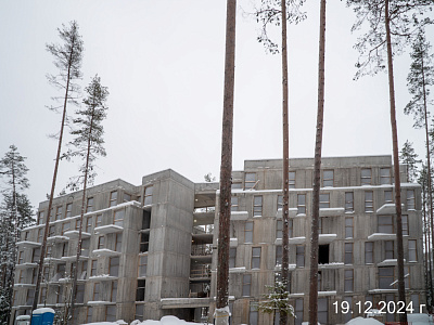 Резиденция Рощино
