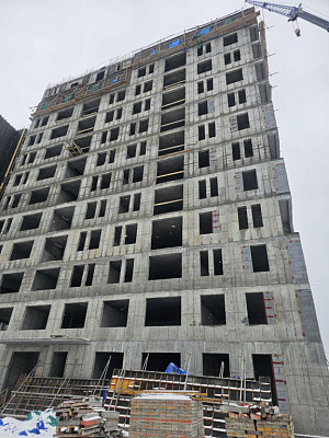 ЖК Зелёная планета на Мира