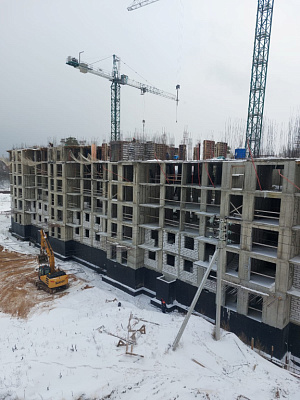 МО, Поселок городского типа Радумля, район ММС-2