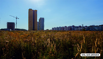 Жукова парк