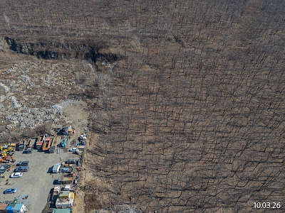 Квартал Нейбута