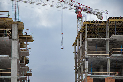 Брусника в Новоселье