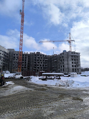 г. Петрозаводск