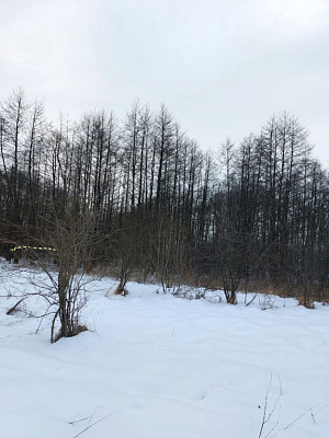 Комплекс апартаментов OTRADA resort