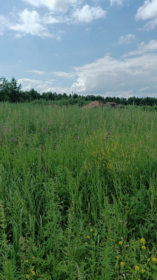 г. Бердск