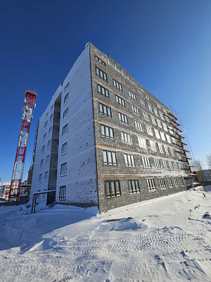 г. Губкинский