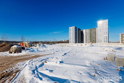 Парголово
