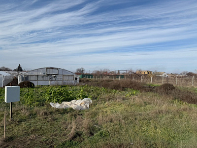Село Новоселовка, Улица Виноградная