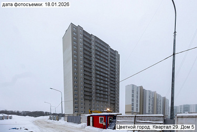 Цветной город
