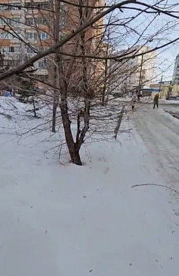 Жилой комплекс Эдельвейс