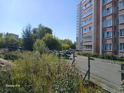 Макаринская роща