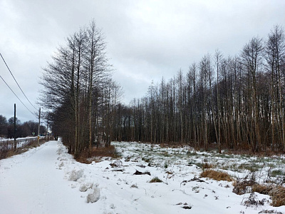 Комплекс апартаментов OTRADA resort