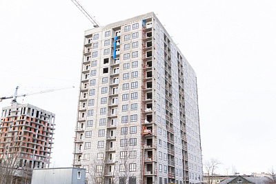 Аквилон Шайн