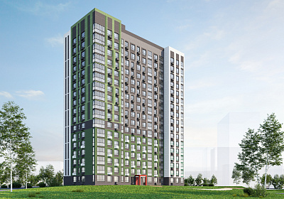 Ягода. Новый город дом 4