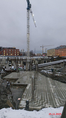 ID Petrogradskaya