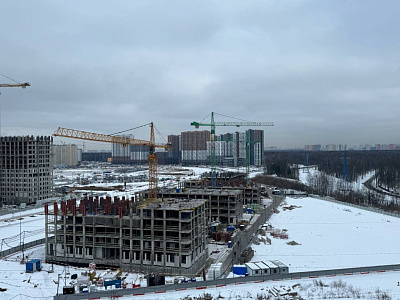 Город-парк Первый Московский (9 ф. к.3)
