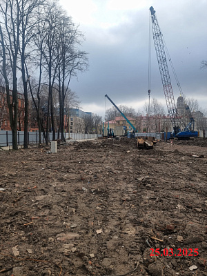 ID Petrogradskaya