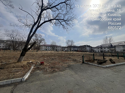 г. Большой Камень, Улица Ленина