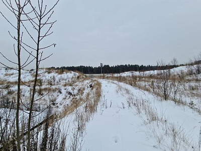 RIGA HILLS (РИГА ХИЛЛС)