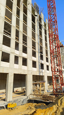 КУРКИНО15