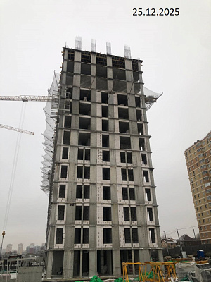 Платон Парк поз 1