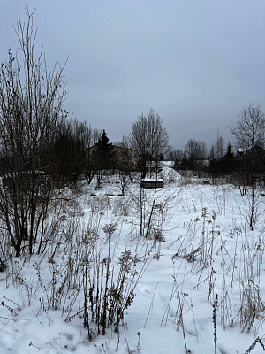 ЛО, г. Кингисепп