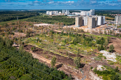 Парголово