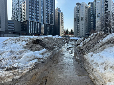 Ньютон Апартментс
