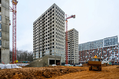 Левел Лесной