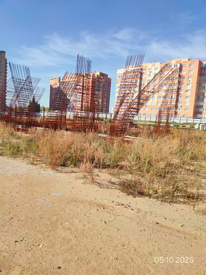 Мирапорт