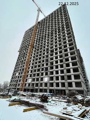РОЩА д.2