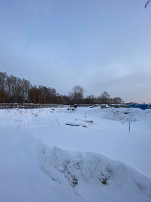 Расцветай на Зорге