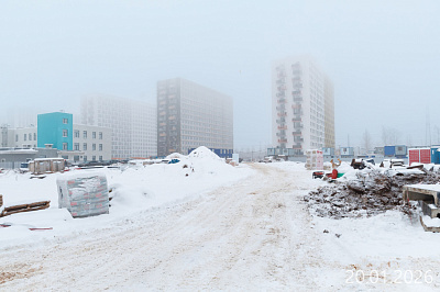 Парголово