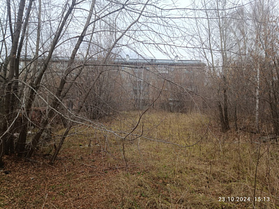 г. Новосибирск