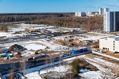 Парголово