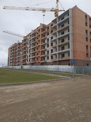 Осановские зори