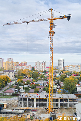 ТОЛК МЕДНЫЙ