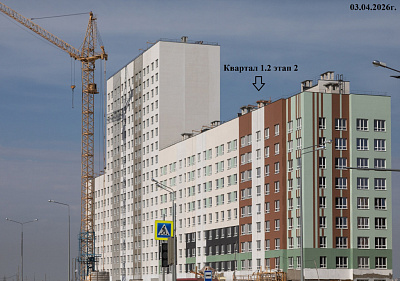 РеФорма Оптимум