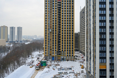 Левел Мичуринский
