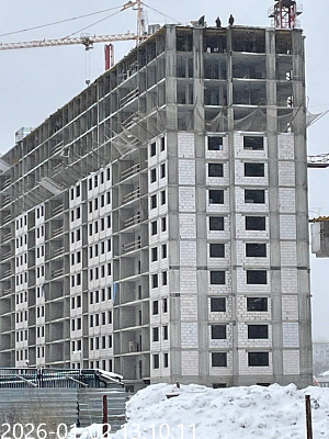 г. Тула
