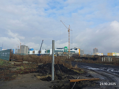 Город Спутник. СХ