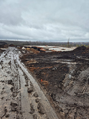 Село Репное