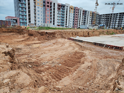 деревня Родина