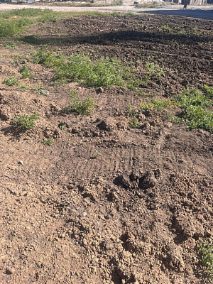 Жилой парк Сокольники