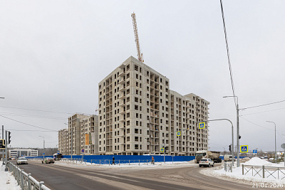 Янила Форест