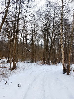 Комплекс апартаментов OTRADA resort