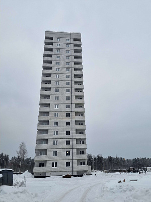 г. Брянск, Проспект Московский